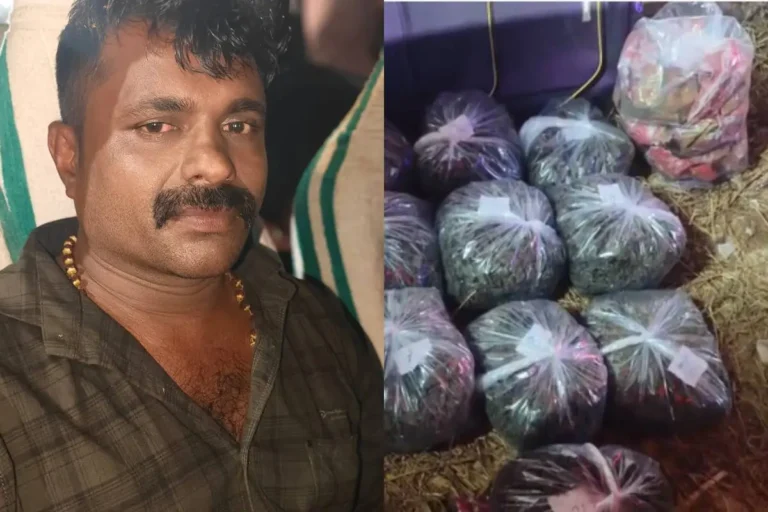 കുടുംബസമേതം കാറില്‍ കഞ്ചാവ് കടത്ത്; 21 കിലോ കഞ്ചാവുമായി അറുപതുകാരിയും മകളും മരുമകനും അറസ്റ്റില്‍