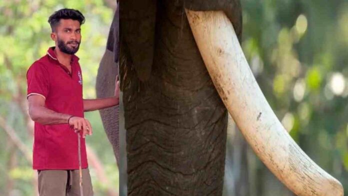 തിരുവനന്തപുരത്ത് ആന പപ്പാനെ തൂക്കിയെറിഞ്ഞ ശേഷം ചവിട്ടിക്കൊന്നു