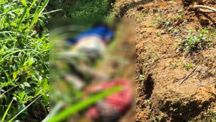 അച്ഛനും മകനും പറമ്പിൽ മരിച്ചനിലയിൽ; പന്നിക്കുവെച്ച വൈദ്യുതവേലിയിൽ നിന്ന് ഷോക്കേറ്റെന്ന് സംശയം