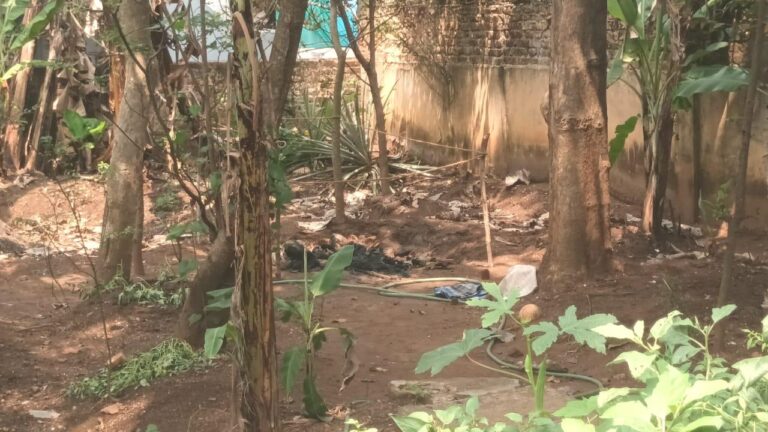 വയോധിക സ്വയം ചിതയൊരുക്കി ആത്മഹത്യ ചെയ്തു; സംഭവം തിരുവനന്തപുരത്ത്