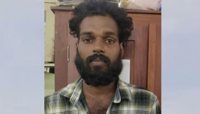 വാടകവീടിന്റെ പറമ്പില്‍ ഒരു ചെടി നട്ടു; നനച്ചുകൊണ്ടിരിക്കുന്നതിനിടെ പൊലീസ് നേരിട്ടെത്തി പൊക്കി; കഞ്ചാവ് ചെടി വളര്‍ത്തിയ യുവാവ് അറസ്റ്റില്‍