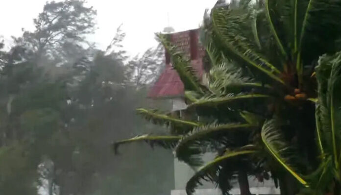 കനത്ത മഴയ്ക്കിടെ എണ്ണപ്പന കടപുഴകി വീണ് തൊഴിലാളിക്ക് ദാരുണാന്ത്യം