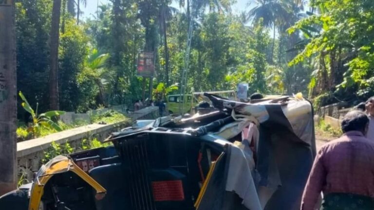 ഓട്ടോറിക്ഷ ഇലക്ട്രിക് പോസ്റ്റിലിടിച്ചു മറിഞ്ഞു; ദമ്പതികൾക്ക് ദാരുണാന്ത്യം