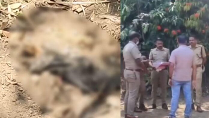 ഇടുക്കിയിൽ ഇരട്ടക്കൊല? അമ്മയും മകനും കൊല്ലപ്പെട്ടതായി സംശയം; പറമ്പിൽനിന്ന് മൃതദേഹഭാഗങ്ങൾ കണ്ടെത്തി