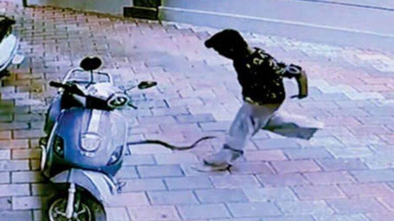 വീട്ടുമുറ്റത്തുവെച്ച്‌ പാമ്പുകടിച്ചത് പാന്റ്‌സിൽ; പതിനൊന്നുകാരൻ രക്ഷപ്പെട്ടത് തലനാരിഴയ്ക്ക് | വീഡിയോ