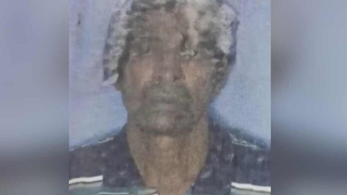 ചക്കയിടാൻ കയറിയയാൾ പ്ലാവിൽനിന്ന് വീണ് മരിച്ചു; സംഭവം കോഴിക്കോട് താമരശ്ശേരിയിൽ