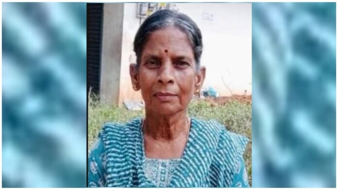 റെയില്‍വേ ട്രാക്ക് മുറിച്ചുകടക്കുന്നതിനിടെ കുതിച്ചെത്തി ട്രെയിന്‍; വയോധികക്ക് ദാരുണാന്ത്യം