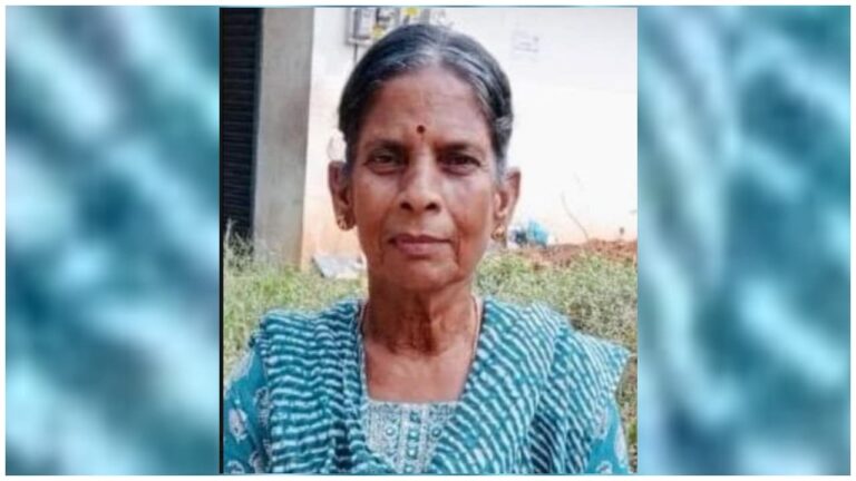 റെയില്‍വേ ട്രാക്ക് മുറിച്ചുകടക്കുന്നതിനിടെ കുതിച്ചെത്തി ട്രെയിന്‍; വയോധികക്ക് ദാരുണാന്ത്യം