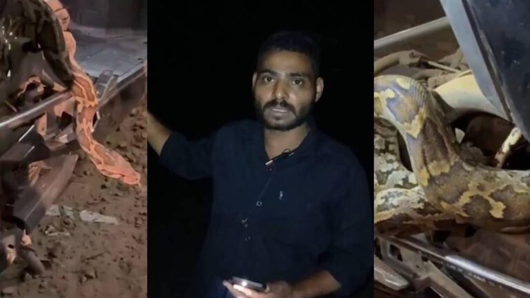ബ്രേക്കിട്ട സ്കൂട്ടറിനകത്ത് പെരുമ്പാമ്പ് കയറി; ചുരം റോഡിൽ യുവാവ് കുടുങ്ങിയത് മൂന്നരമണിക്കൂർ
