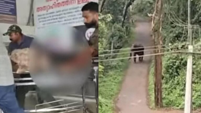 വയനാട്ടിൽ വീണ്ടും ആനക്കലി; കാട്ടാന ആക്രമണത്തിൽ തോട്ടം തൊഴിലാളി മരിച്ചു