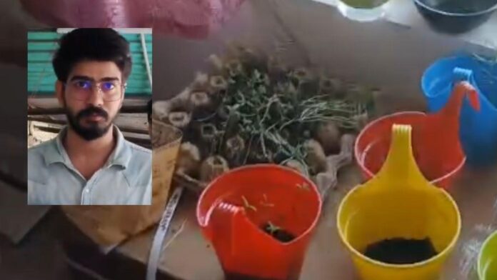 ‘നല്ലവനായ ഉണ്ണി’; ഫ്‌ളാറ്റിൽ മുട്ടട്രേയിൽ കഞ്ചാവുചെടി വളർത്തി ടെക്കി, ഓപ്പറേഷൻ തൂഫാനിൽ തൂക്കി പോലീസ്