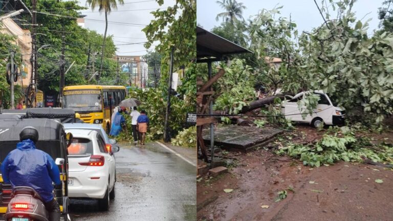 തൃശ്ശൂരിൽ മിന്നൽ ചുഴലി; മരങ്ങൾ കടപുഴകി, സ്‌കൂൾ മേൽക്കൂര തകർന്നു, വൻ നാശനഷ്ടം
